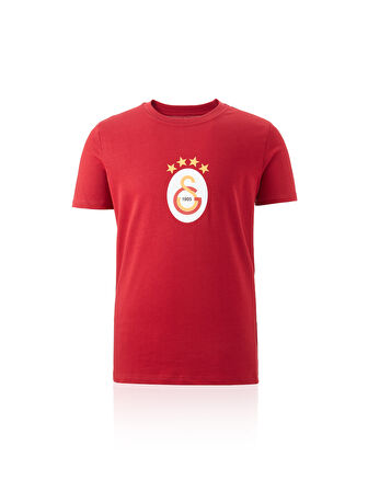 Galatasaray Erkek T-Shirt E241111