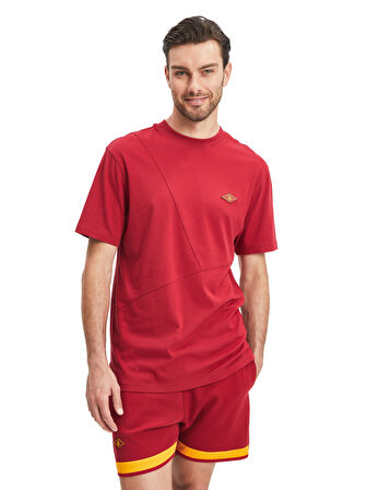 Galatasaray Erkek T-Shirt E241114