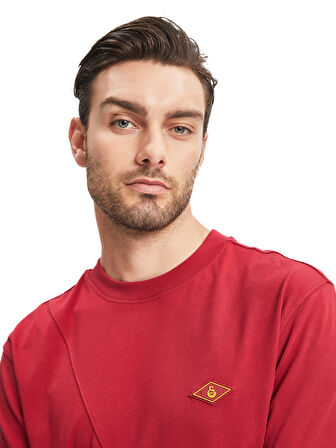 Galatasaray Erkek T-Shirt E241114