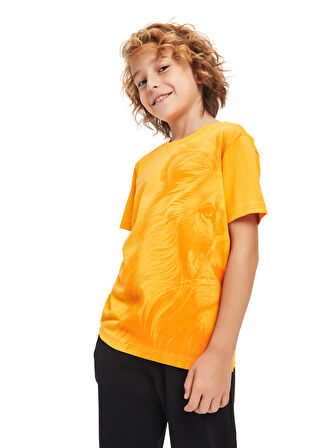 Galatasaray Çocuk T-Shirt C241112