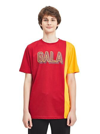 Galatasaray Erkek T-Shirt Y241222