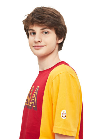 Galatasaray Erkek T-Shirt Y241222