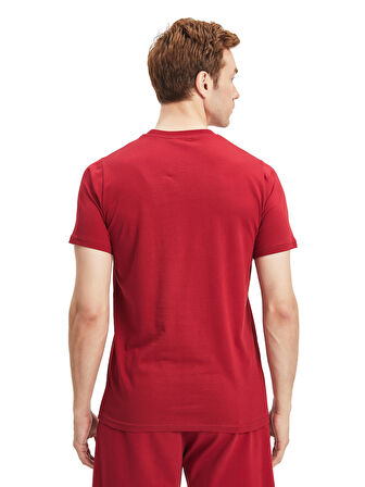 Galatasaray Erkek 3`lü Karışık Basic T-Shirt E241273