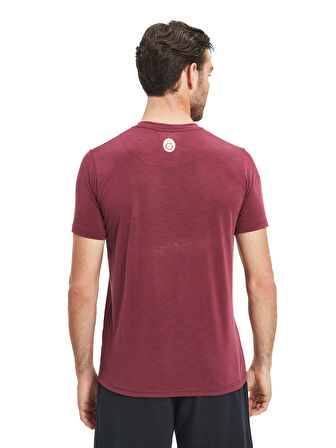 Galatasaray Erkek T-Shirt E241098