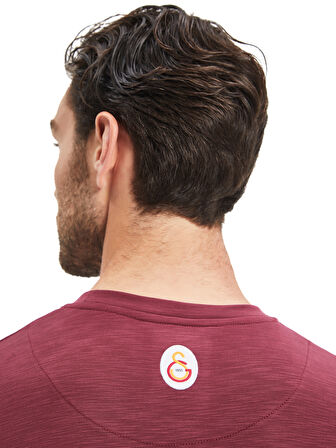 Galatasaray Erkek T-Shirt E241098