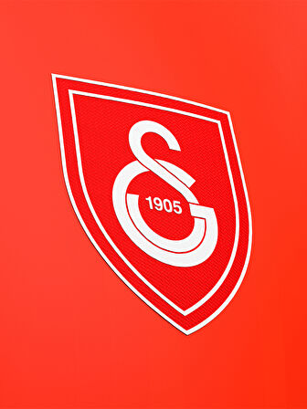 Galatasaray Çocuk Kaan Ayhan Design FC T-Shirt C232386