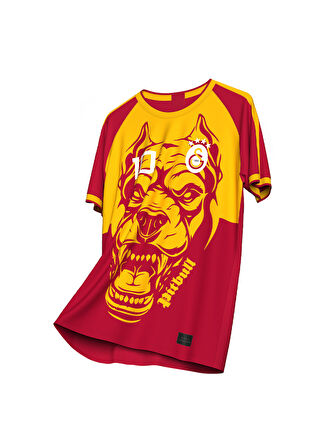 Galatasaray Felipe Melo Legends T-Shirt E232392