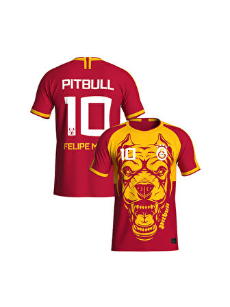 Galatasaray Felipe Melo Legends T-Shirt C232392