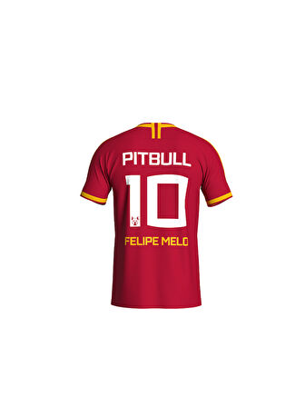 Galatasaray Felipe Melo Legends T-Shirt C232392