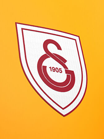 Galatasaray Berkan Kutlu Design FC T-shirt E232385