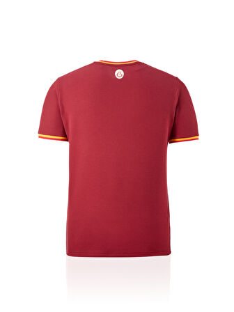 Galatasaray Erkek T-Shirt E242099