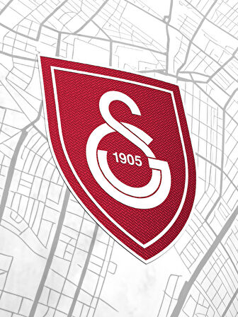 Galatasaray Çocuk Sallai Design FC T-Shirt C241315