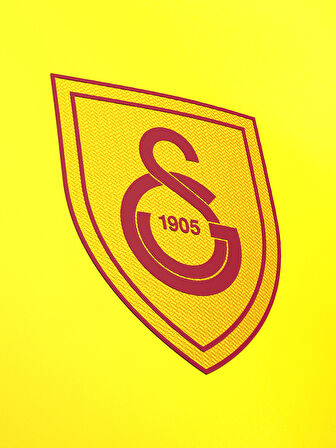 Galatasaray Sara Design FC T-Shirt E241314