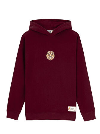 GSSTORE X Reflect Studio Aslan Hoodie E242400