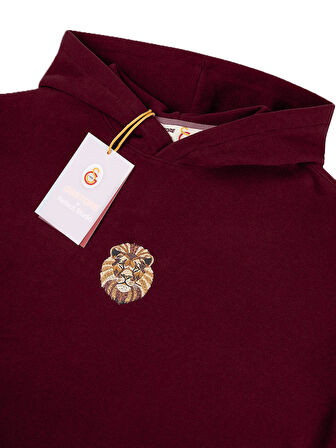 GSSTORE X Reflect Studio Aslan Hoodie E242400