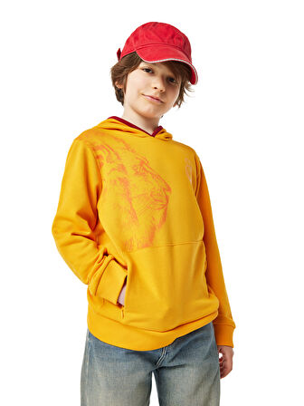 Galatasaray Çocuk Hoodie C251037