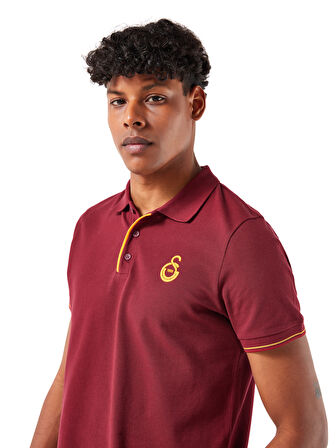 Galatasaray Erkek Polo T-Shirt E251049