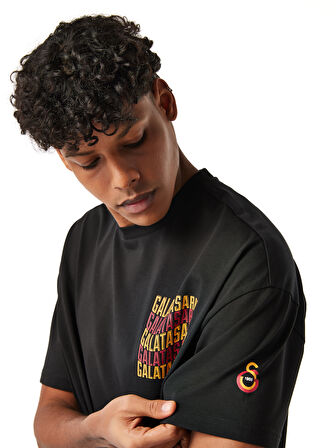 Galatasaray Erkek T-Shirt E251056