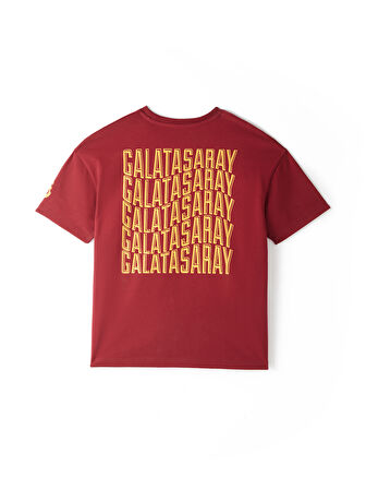 Galatasaray Erkek T-Shirt E251056