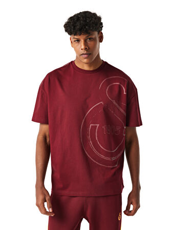 Galatasaray Erkek T-Shirt E251058