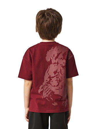 Galatasaray Çocuk T-Shirt C251058