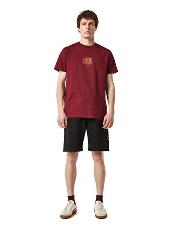 Galatasaray Erkek T-Shirt E251059