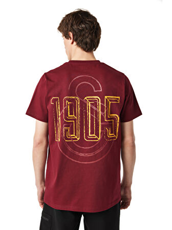 Galatasaray Erkek T-Shirt E251059