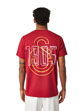 Galatasaray Erkek T-Shirt E251059
