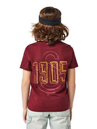 Galatasaray Çocuk T-Shirt C251059
