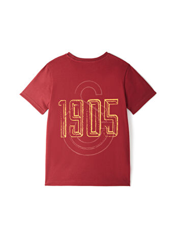 Galatasaray Çocuk T-Shirt C251059