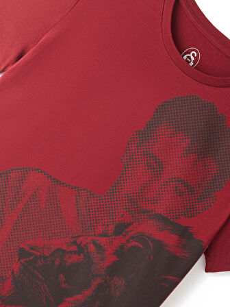 Galatasaray Çocuk T-Shirt C251070