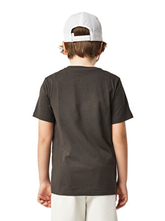 Galatasaray Çocuk T-Shirt C251070