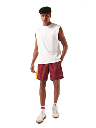 Galatasaray Erkek Deniz Şortu E251084