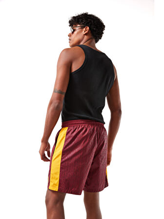 Galatasaray Erkek Deniz Şortu E251085