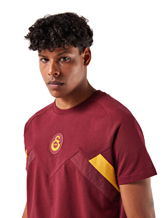 Galatasaray Erkek T-Shirt E251110