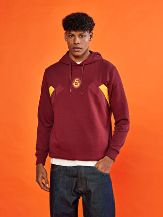 Galatasaray Erkek Hoodie E251111