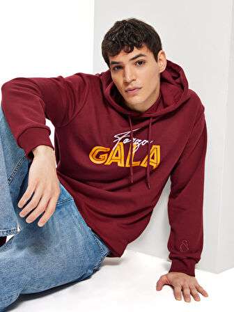 Galatasaray Gala Erkek Sweatshirt E242248