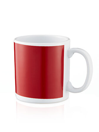 Galatasaray Parçalı Mug U251124