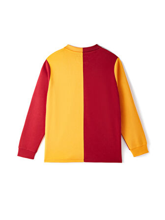 Galatasaray 1925 Retro Forma E251158