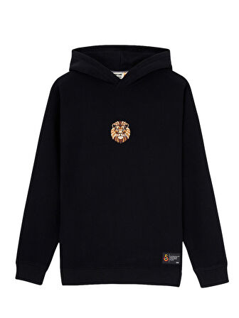GSSTORE X Reflect Studio Aslan Hoodie E242400