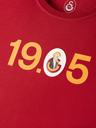 Galatasaray Erkek Ata 1905 T-Shirt E251276