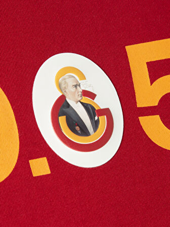 Galatasaray Erkek Ata 1905 T-Shirt E251276