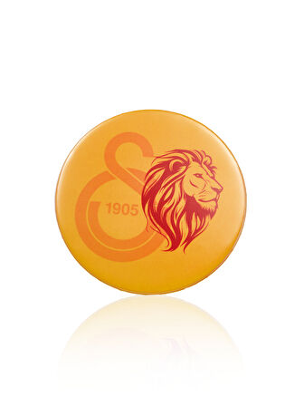 Galatasaray Aslan Magnet U251285