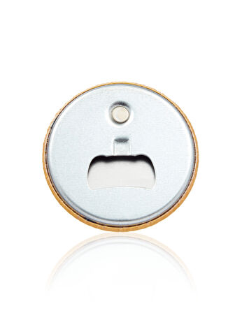 Galatasaray Aslan Magnet U251285