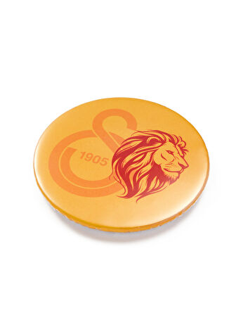 Galatasaray Aslan Magnet U251285