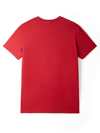 Galatasaray 25 Şampiyonluk T-Shirt E251351