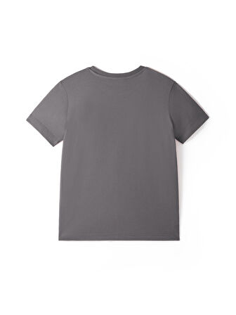 Galatasaray 5 Yıldız Çocuk T-Shirt C251352