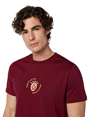 Galatasaray Gerçekleri Tarih Yazar T-shirt E251392
