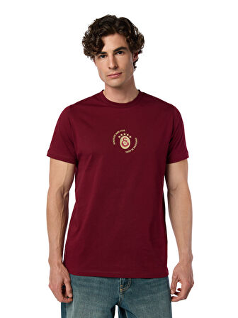 Galatasaray Gerçekleri Tarih Yazar T-shirt E251392