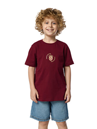 Galatasaray Gerçekleri Tarih Yazar Çocuk T-shirt C251392